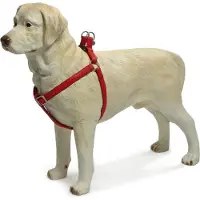 Beeztees BZ HARNAS MACL ROOD 2560-100 (Hond, Algemeen)