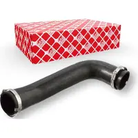 FEBI BILSTEIN 107552 Radiateurslang