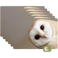KitchenYeah Placemats - 6 stuks - 45x30 cm - Placemat kunststof - Uil - Bruin - Wit - Borden onderleggers - Decoratie voor op tafel - Keuken tafeldecoratie accessoires - Vinyl onderlegger - Tafelversiering