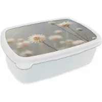 MuchoWow Broodtrommel Wit - Lunchbox Strobloemen - Wit - Daglicht - Brooddoos 18x12x6 cm - Brood lunch box - Broodtrommels voor kinderen en volwassenen