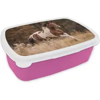 MuchoWow Broodtrommel Roze - Lunchbox Paard - Bruin - Gras - Brooddoos 18x12x6 cm - Brood lunch box - Broodtrommels voor kinderen en volwassenen