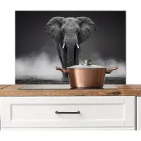 KitchenYeah Spatscherm keuken 80x55 cm - Kookplaat achterwand Olifant - Zwart - Wit - Rook - Muurbeschermer - Spatwand fornuis - Hoogwaardig aluminium