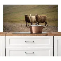 KitchenYeah Spatscherm keuken 120x60 cm - Kookplaat achterwand Schapen - Bruin - Wit - Grindpad - Muurbeschermer - Spatwand fornuis - Hoogwaardig aluminium