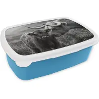 MuchoWow Broodtrommel Blauw - Lunchbox Schotse hooglander - Kalf - Zwart - Wit - Brooddoos 18x12x6 cm - Brood lunch box - Broodtrommels voor kinderen en volwassenen