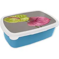 MuchoWow Broodtrommel Blauw - Lunchbox Planten - Anthurium - Groen - Roze - Brooddoos 18x12x6 cm - Brood lunch box - Broodtrommels voor kinderen en volwassenen
