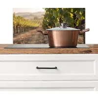 KitchenYeah Spatscherm keuken 60x30 cm - Kookplaat achterwand Druiven - Wijngaard - Zonlicht - Muurbeschermer - Spatwand fornuis - Hoogwaardig aluminium