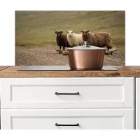 KitchenYeah Spatscherm keuken 80x40 cm - Kookplaat achterwand Schapen - Bruin - Wit - Grindpad - Muurbeschermer - Spatwand fornuis - Hoogwaardig aluminium