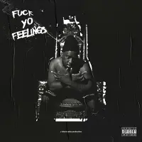 Universal Music Robert Glasper - Fuck Yo Feelings (2 LP)