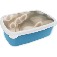 MuchoWow Broodtrommel Blauw - Lunchbox Hazestaartgras - Wit - Zonlicht - Brooddoos 18x12x6 cm - Brood lunch box - Broodtrommels voor kinderen en volwassenen