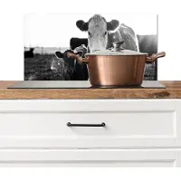 KitchenYeah Spatscherm keuken 60x30 cm - Kookplaat achterwand Koeien - Zwart - Wit - Muurbeschermer - Spatwand fornuis - Hoogwaardig aluminium