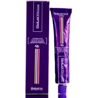 Salerm Permanente Kleur Salermvison Salermvison (75 ml)