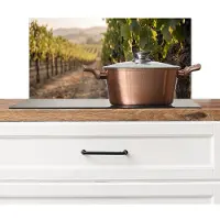 KitchenYeah Spatscherm keuken 60x30 cm - Kookplaat achterwand Druiven - Wijngaard - Zonlicht - Muurbeschermer - Spatwand fornuis - Hoogwaardig aluminium