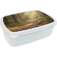 MuchoWow Broodtrommel Wit - Lunchbox Zonlicht - Bospad - Bomen - Brooddoos 18x12x6 cm - Brood lunch box - Broodtrommels voor kinderen en volwassenen