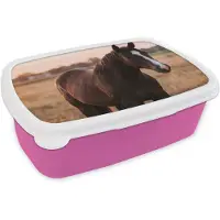 MuchoWow Broodtrommel Roze - Lunchbox Paard - Zonsondergang - Bruin - Brooddoos 18x12x6 cm - Brood lunch box - Broodtrommels voor kinderen en volwassenen