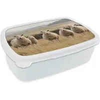 MuchoWow Broodtrommel Wit - Lunchbox Schapen - Weidenlandschap - Heuvels - Brooddoos 18x12x6 cm - Brood lunch box - Broodtrommels voor kinderen en volwassenen