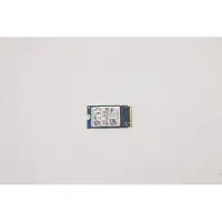 Lenovo SSD - 256 GB - interne schijf - M.2 2242 - PCIe