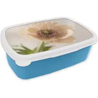 MuchoWow Broodtrommel Blauw - Lunchbox Bloem - Minimalistisch - Groen - Brooddoos 18x12x6 cm - Brood lunch box - Broodtrommels voor kinderen en volwassenen