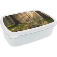 MuchoWow Broodtrommel Wit - Lunchbox Bos - Zonlicht - Gras - Brooddoos 18x12x6 cm - Brood lunch box - Broodtrommels voor kinderen en volwassenen