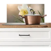 KitchenYeah Spatscherm keuken 60x30 cm - Kookplaat achterwand Narcis - Bloem - Minimalistisch - Muurbeschermer - Spatwand fornuis - Hoogwaardig aluminium