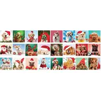 Eurographics Advent Calendar – Christmas Paws (24x 50 stukjes)