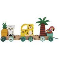 Janod Train Veelkleurig Kinderen