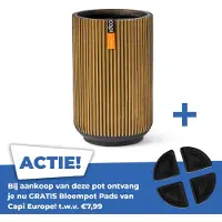 Capi Europe Vaas Hoog Groove 22x32 Zwart Goud