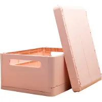 Exacompta Vouwkrat The Smart Case maxi Skandi - Nude - 27231D