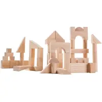 Plantoys Houten Speelgoed 50 blokken