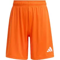 Adidas Sportbroek 'ENT26' oranje / wit