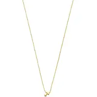 Isabel Bernard - 14K Gouden Ketting Voor Dames