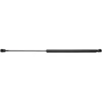 RIDEX 219G0591 Gasveer achterklep