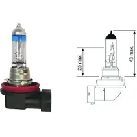 Diederichs LID10070 Gloeilamp, koplamp
