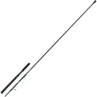 Hart Toro Sabiki Spinning Rod Zilver 2.21 m / 15-20 Lbs