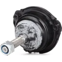 RIDEX 2462S0380 Fuseekogel
