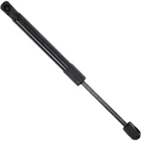 Einparts EP12057GS Gasveer achterklep