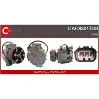 Casco CAC83017GS Aircopomp