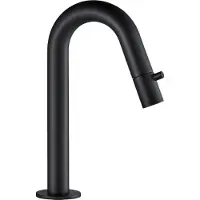 LOMAZOO Fonteinkraan Zwart- Koudwaterkraan - Toiletkraan - Wc Kraan [VICHY]