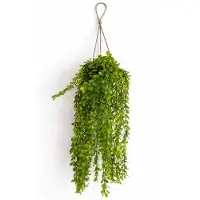 HEM Kunst Hangplant Wilg 66 cm - Kunstplant Hangend - Groen - Onderhoudsvrij - Inclusief Pot - Kunstplant Binnen Decoratie
