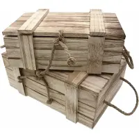 UNUS Kisten houten met deksel gebrand 36x14,5x24 cm set van 2
