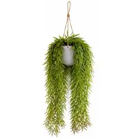 HEM Kunsthangplant Wilg 66 cm – Groene Hangplant Kunst – Realistische Kunstplant met Pot – Onderhoudsvrij – Hangende Kamerplant voor Binnen Decoratie