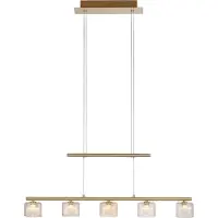Paul Neuhaus 5-lichts hanglamp Hydra messing