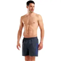 Arena Zwemshorts 'Fundamentals Logo Boxer' grijs