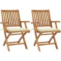 The Living Store Houten Tuinstoelen - Set van 2 - Teakhout - Inklapbaar - Met Zitkussens