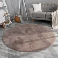 TT Home Woonkamer hoogpolig tapijt imitatiebont moderne effen kleuren pluizig zacht