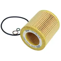 BMW 11427953129 Oliefilter