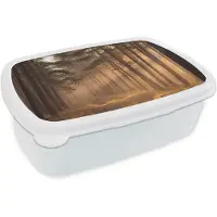 MuchoWow Broodtrommel Wit - Lunchbox Bos - Mist - Zonlicht - Brooddoos 18x12x6 cm - Brood lunch box - Broodtrommels voor kinderen en volwassenen