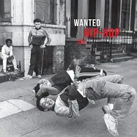 Wagram Music - Wanted Hip-Hop (LP)