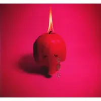 Cd Arcade Fire - Pink Elephant