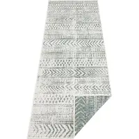 Hanse Home Dubbelzijdig Buitenkleed Biri - Groen/Crème 80 x 250 cm