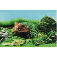 Superfish Aquarium Decoratie Poster C4 Multi 120 X 49 Cm